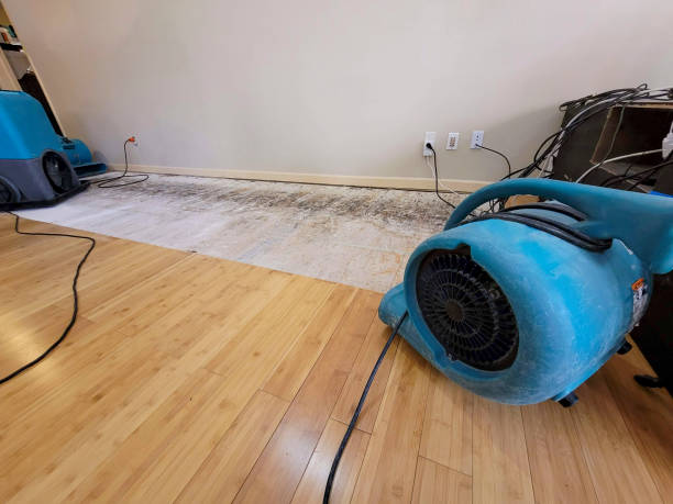 Professional Emergency Water Damage technician working in Berkeley, CA